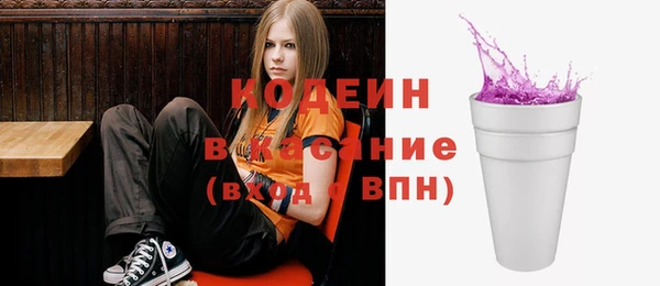 гашик Ельня