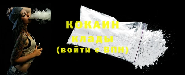 гашик Ельня