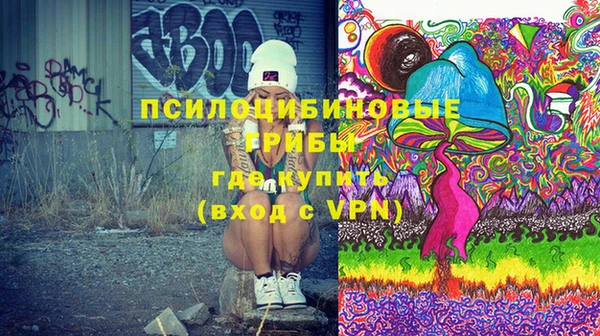 дурь Дмитров