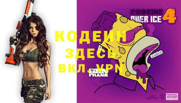 гашик Ельня